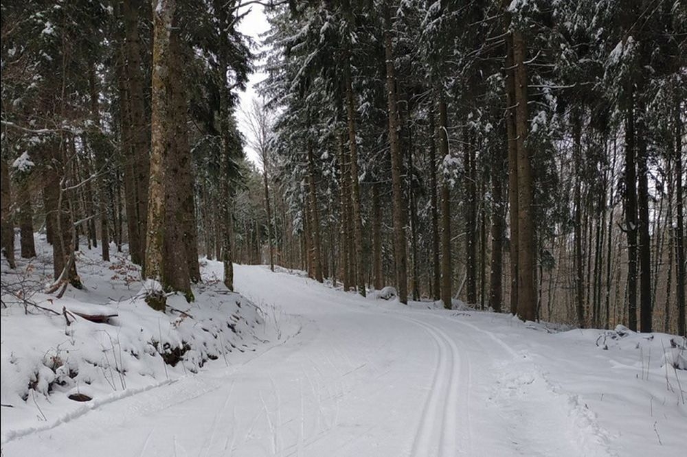Un éphémère retour de l'hiver